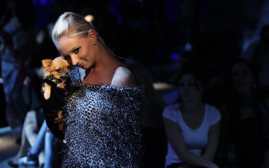 modna revija, čivave