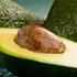 avokado