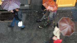 Pravljičnega snega na letošnji božič najverjetneje ne bo. (Foto: Dejan Mijovič)