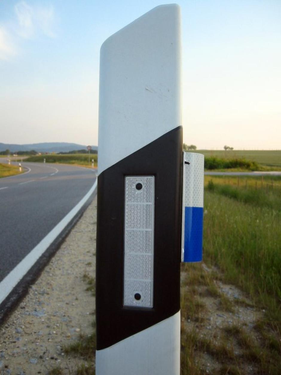 modri odsevnik | Avtor: Žurnal24 