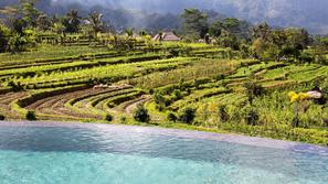 Samanvaya Resort, Bali