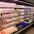 slovenija 17.01.11 mlecni izdelki, jogurt, jogurti, mercator center siska, foto: