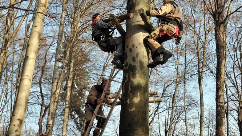 Novembra 2008 je Koren Sports v Tivoliju začel pripravljati pustolovski park. La