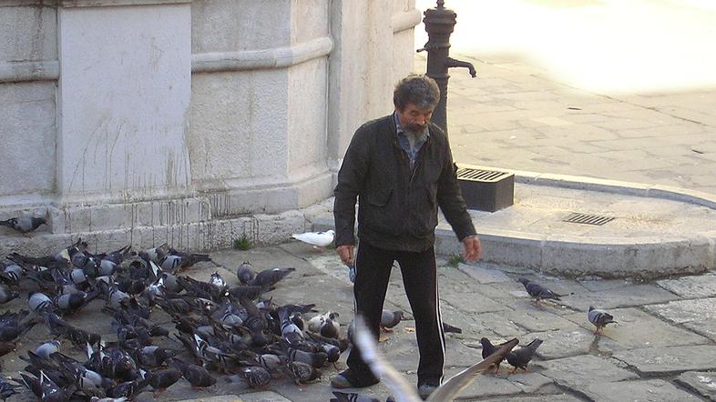 Na vodnjaku, ki je kulturni spomenik, puščajo golobom celo ostanke svojih obroko