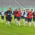 slovenska nogometna reprezentanca trening stožice