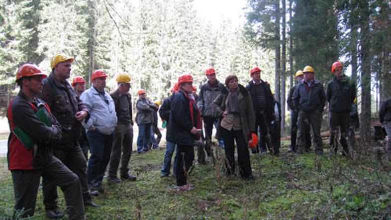 S trenutnimi razmerami v pokljuških gozdovih se je včeraj seznanilo več deset pr
