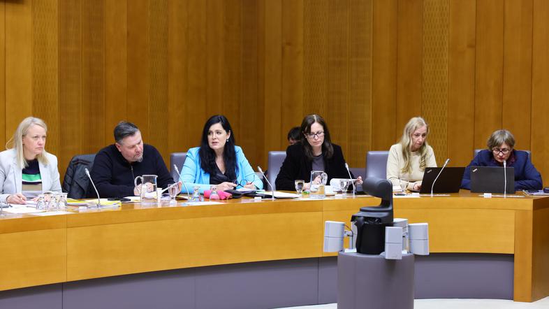 Janja Sluga odbor DZ za notranje zadeve