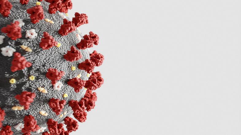 covid-19 koronavirus