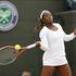 Stephens Wimbledon OP Anglije grand slam