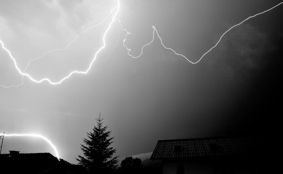 Neurje | Avtor: Egon Cokan