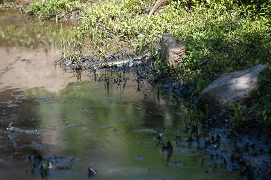 Kemis | Avtor: Anže Petkovšek