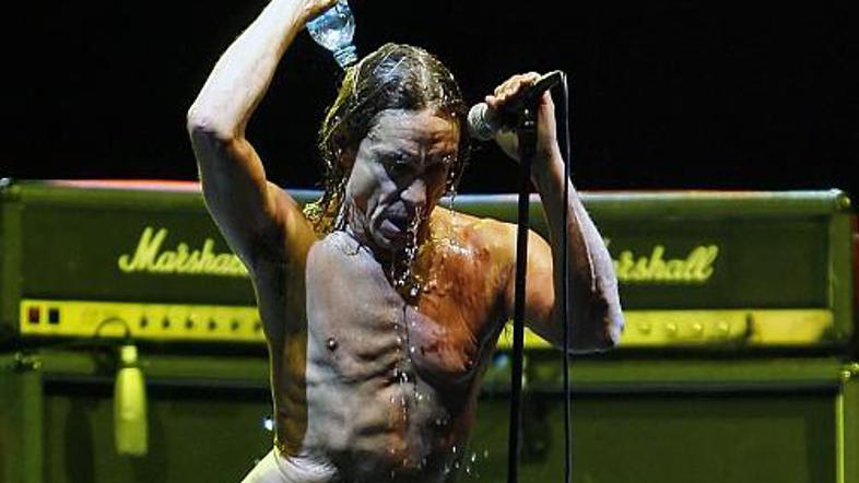 Ameriški neutrudni roker Iggy Pop, ki je letos dopolnil 60 let, bo nosilec torko