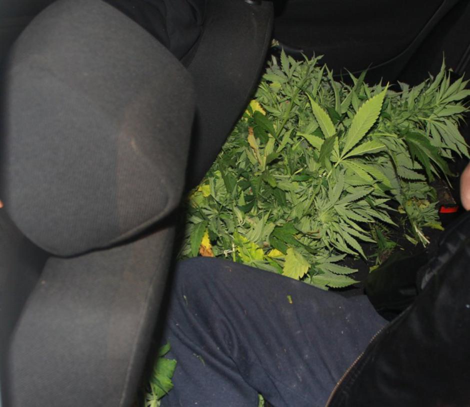 droga golf | Avtor: PU Kranj