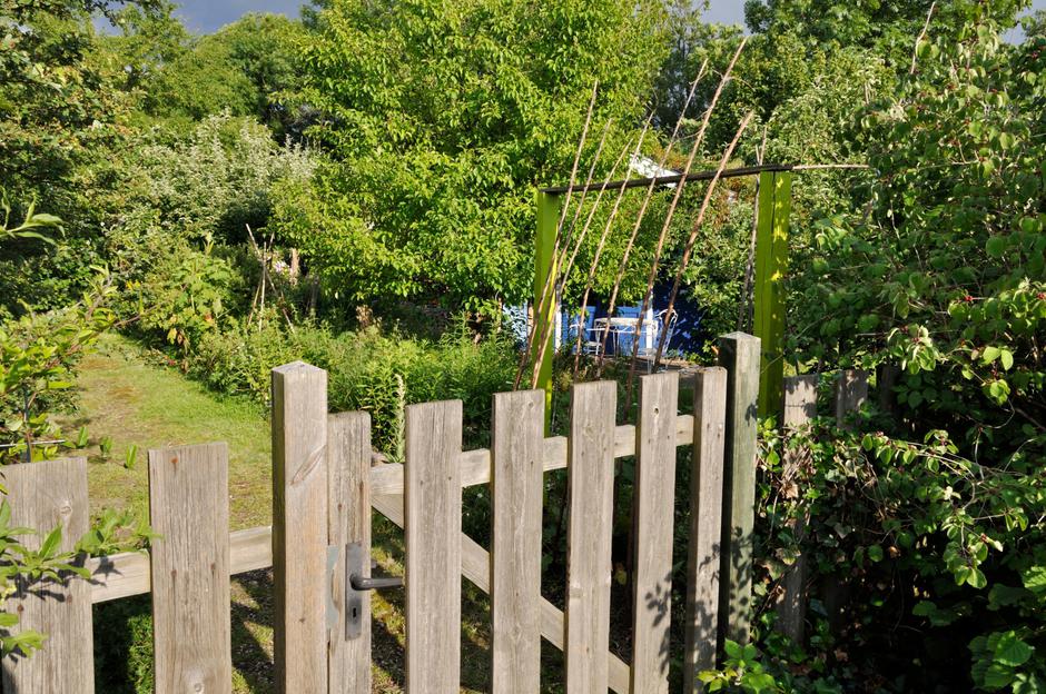 les zunaj | Avtor: Profimedia