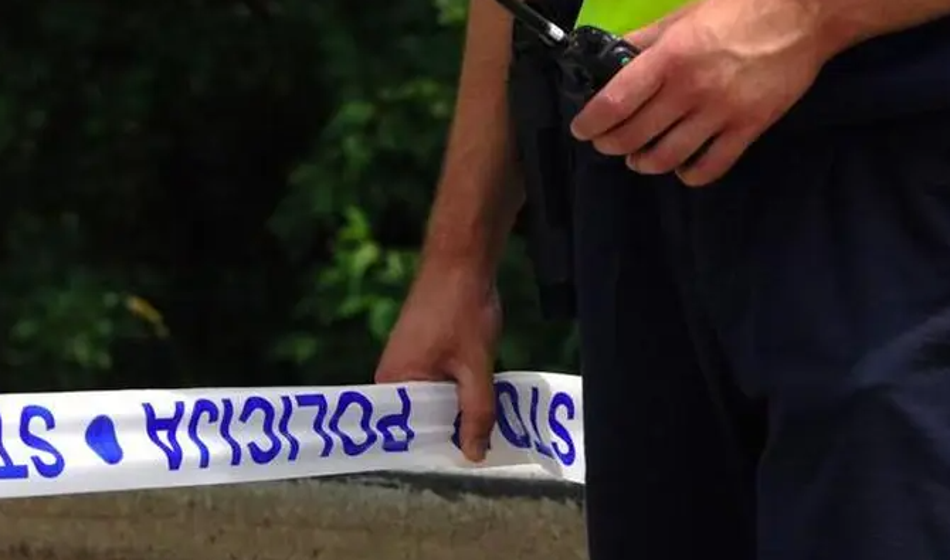 Dekle je s strelnim orožjem ubilo svojega partnerja