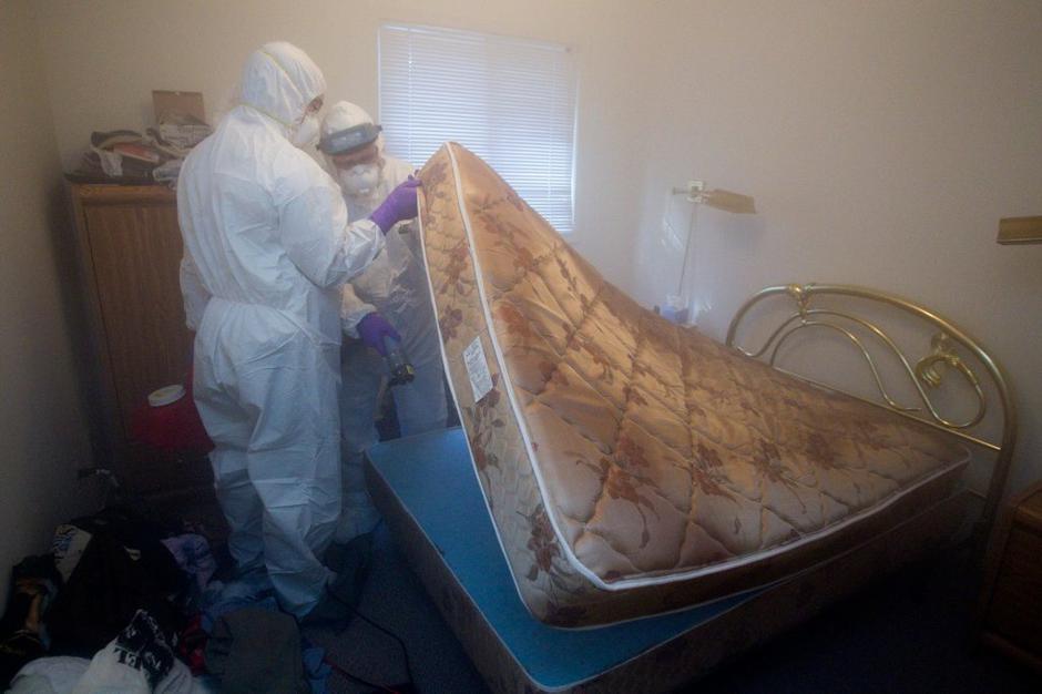 Stenice | Avtor: Profimedias