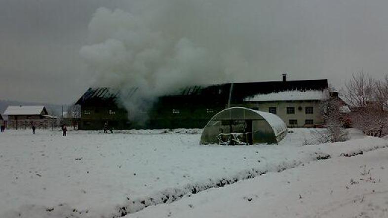 (Foto: Bralec Žurnala24)