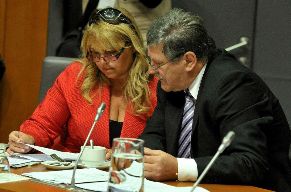 Dušan Črnigoj, DZ, zaslišanje