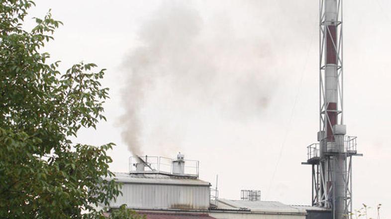 Pinus, Rače, požar, podjetje, fitofarmacevtska sredstva