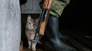 mačka vojak LNR Luganska republika vojaki
