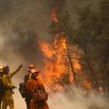 Kalifornija požari požar