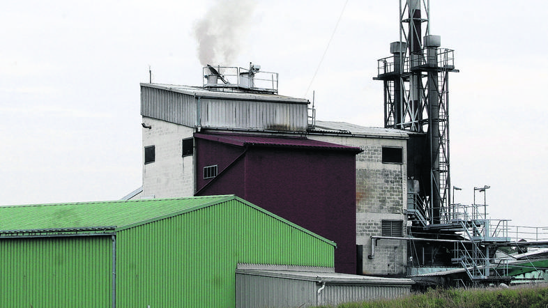 (Foto: Barbara Bradač)