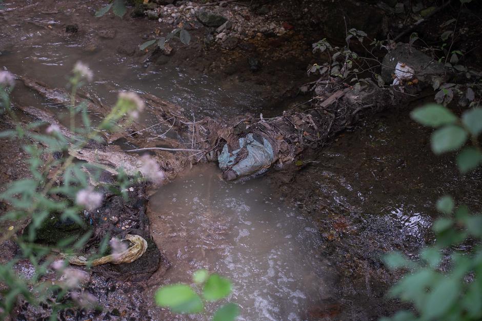 izpust fekalij | Avtor: Anže Petkovšek