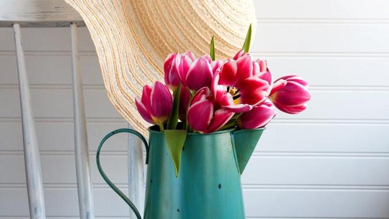 Posadite jih zdaj, da boste spomladi uživali v njihovi lepoti. (Foto: Shuttersto