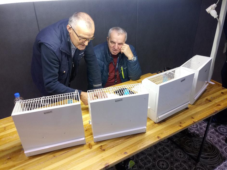 Društvo za varstvo in vzgojo ptic Nova Gorica