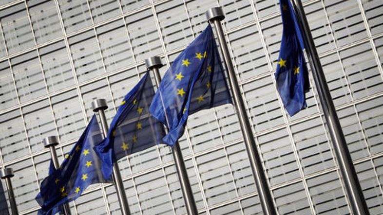 Večina Slovencev meni, da njihova država stori dovolj v boju proti različnim obl