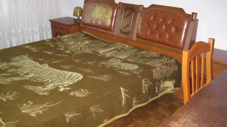 Študenska stanovanja v Ljubljani