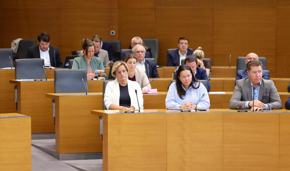 DZ potrdil rebalans letošnjega proračuna