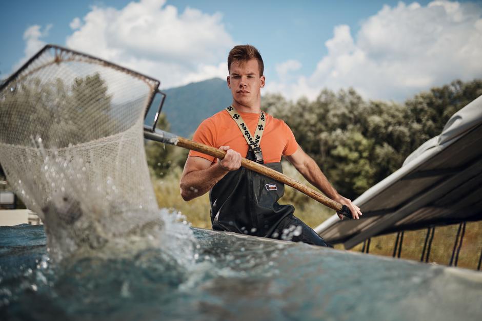 Argeta | Avtor: Primož Korošec