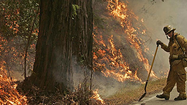 Takole lahko gasilec le nemočno opazuje, kako požar požira znamenite kalifornijs