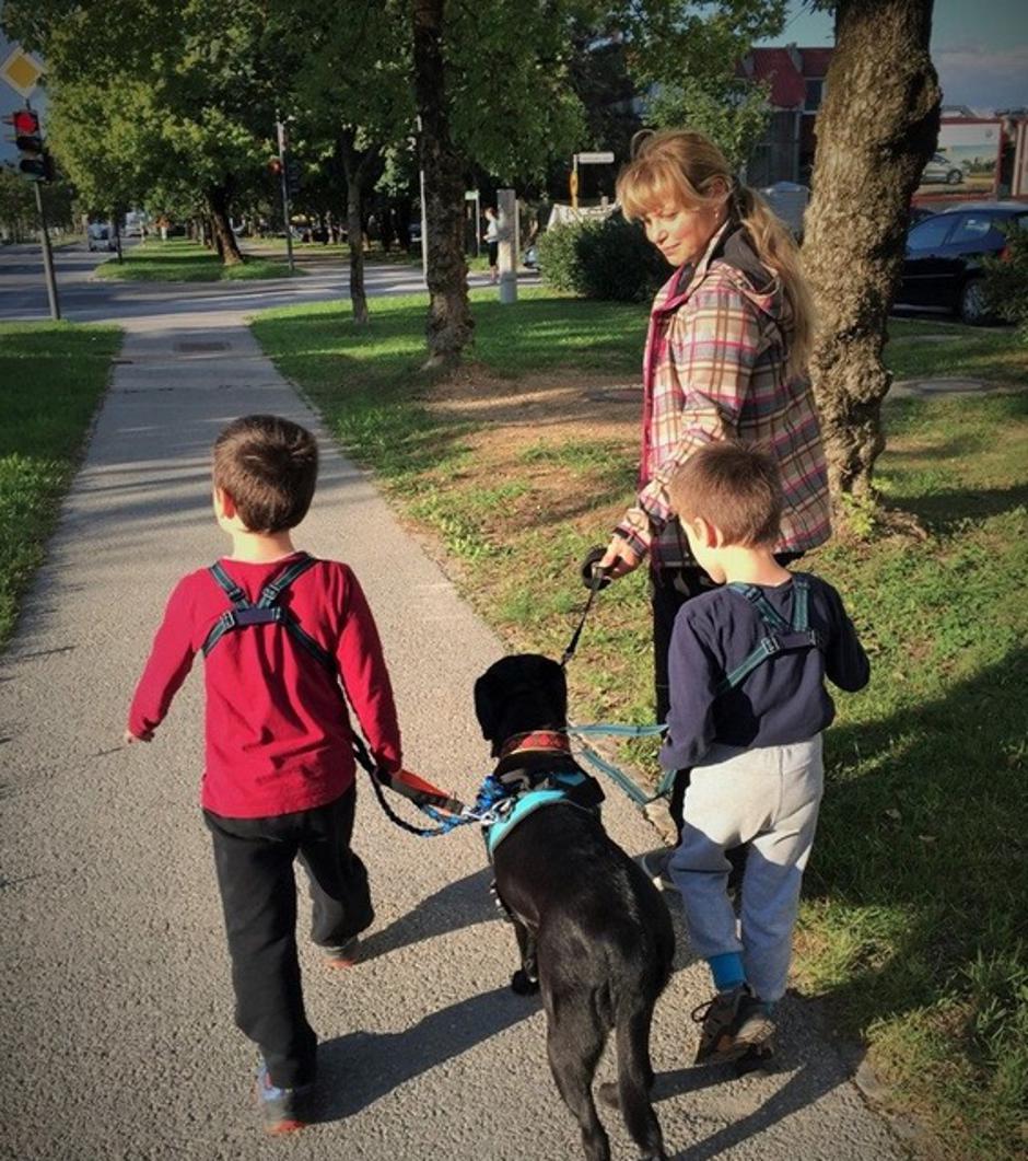 Na sprehodu | Avtor: Andreja Cilenšek