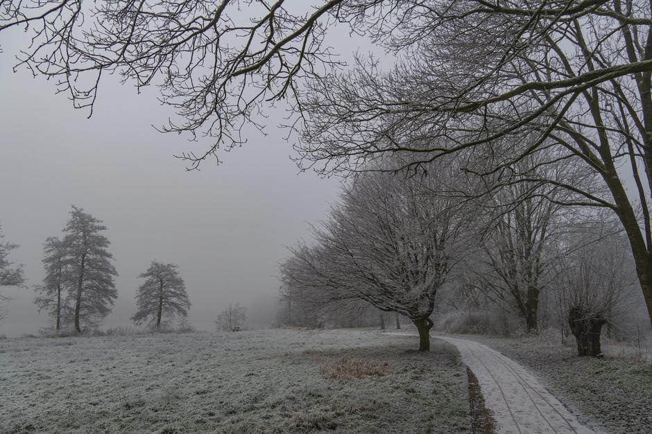 zima mraz zmrzal nizke temperature slana ivje | Avtor: Profimedia