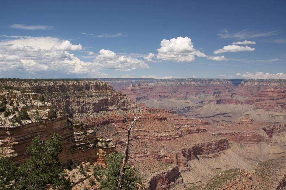 Ameriški park Veliki kanjon. | Avtor: Damjan Grimšič