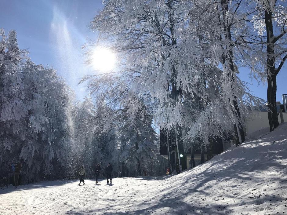 Mariborsko pohorje | Avtor: Profimedia