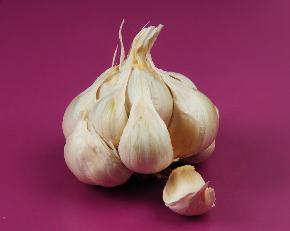 (Foto: Shutterstock)