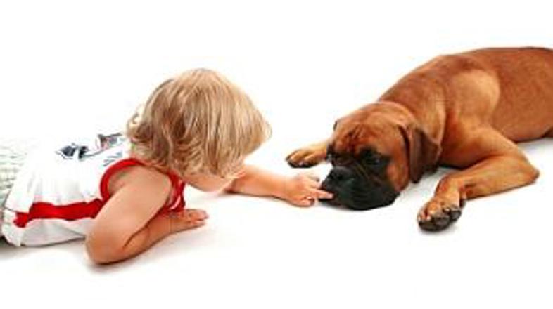 Otroke naučite, da si po stiku z živalmi umijejo roke.