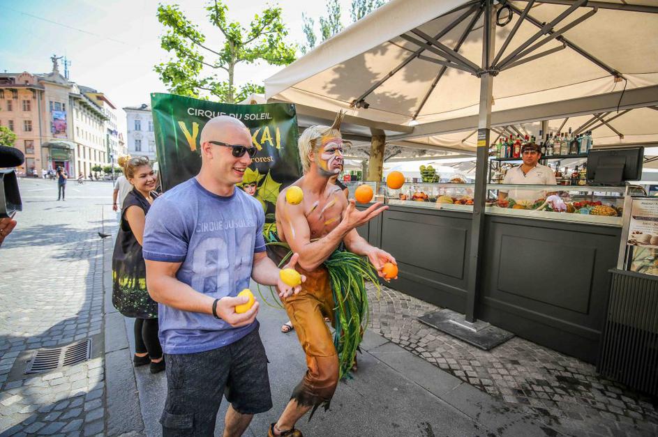 Cirque du Soleil - Varekai