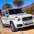 Mercedes-AMG G 63