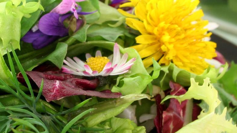 Sveže nabrane in pripravljene divje rastline okrepijo in poživijo telo, zato so 