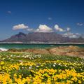 Table Mountain, Mizasta gora, Cape Town, Južnoafriška republika