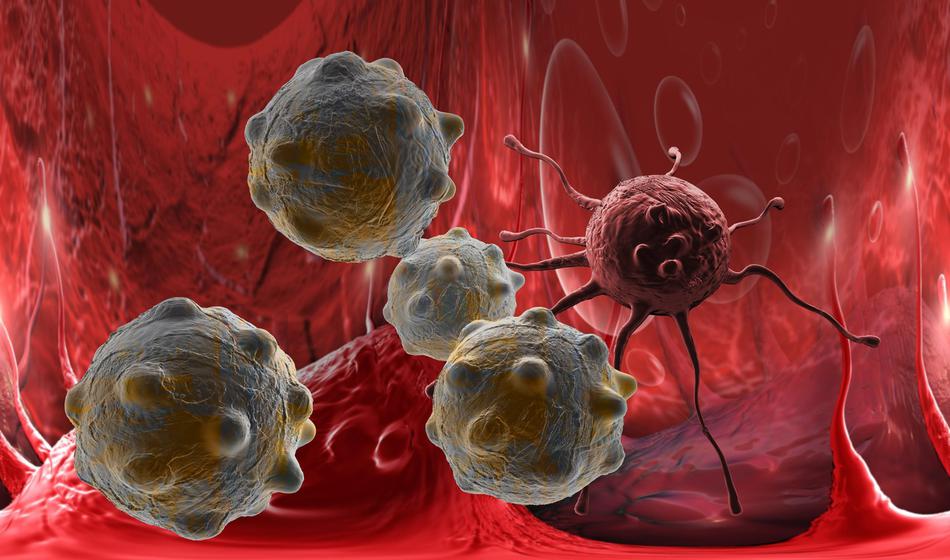 Neporočeni pogosteje zbolevajo za tema dvema vrstama raka