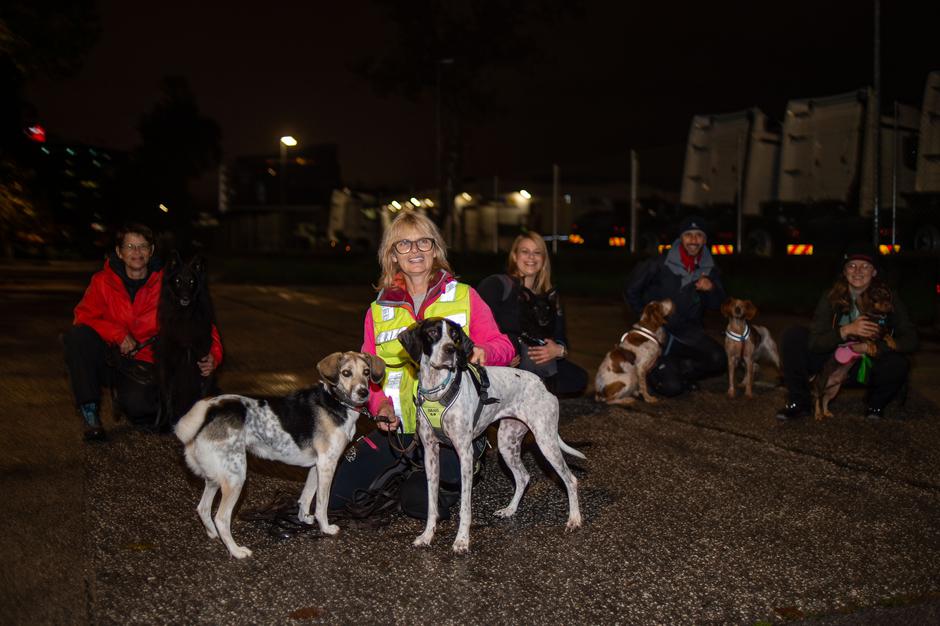 K9 | Avtor: Anže Petkovšek