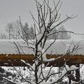 Sneg na območju Kočevja
