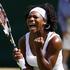 wim_serena_williams_reuters