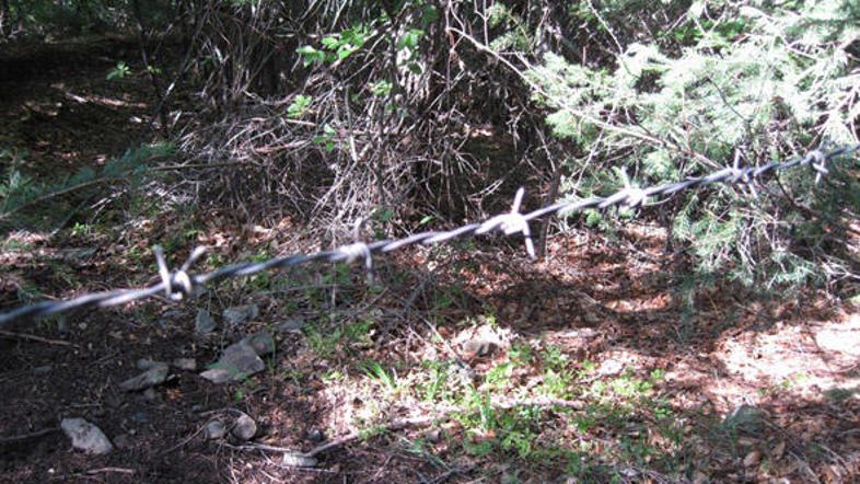 Bodeča žica, ki je grozila motoristom v gozdu na Pohorju. Policija jo je našla.