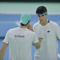 Slovenska teniška reprezentanca; Davisov pokal